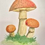 Watercolor Mushrooms